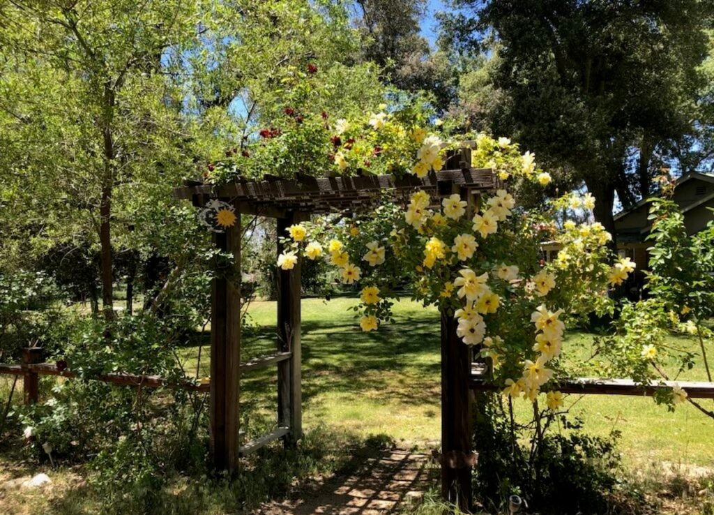 warner springs home for sale chihuahua valley mountain hideaway san diego backcountry portia green realtor compass 05