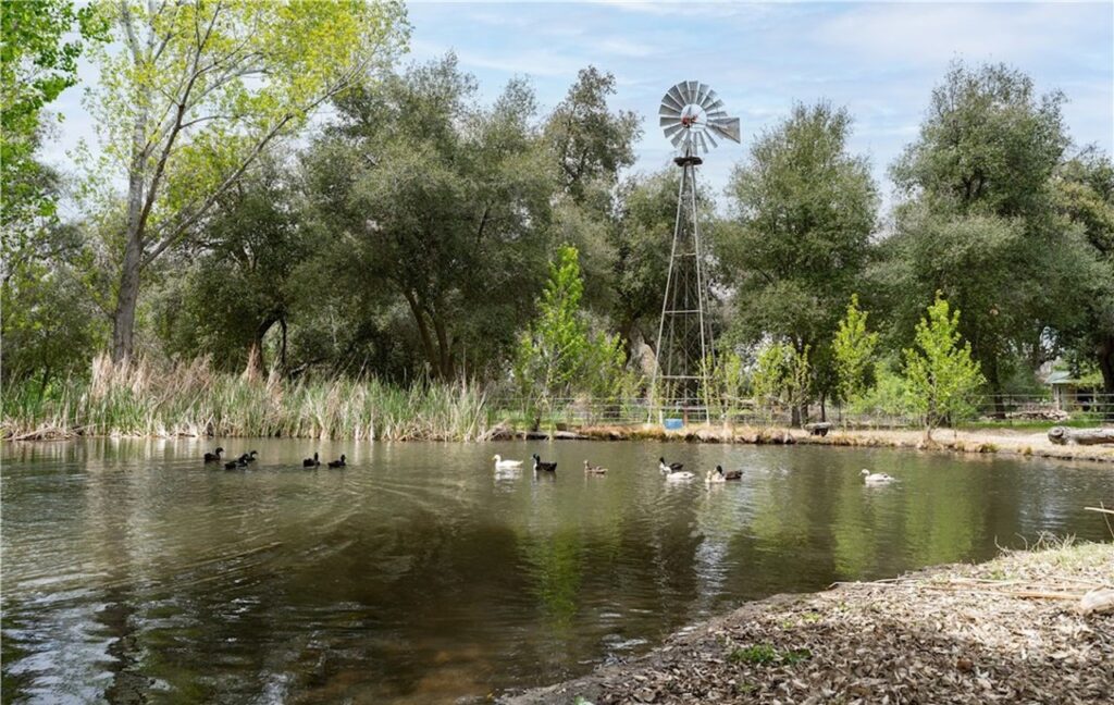 warner springs home for sale chihuahua valley mountain hideaway san diego backcountry portia green realtor compass 08