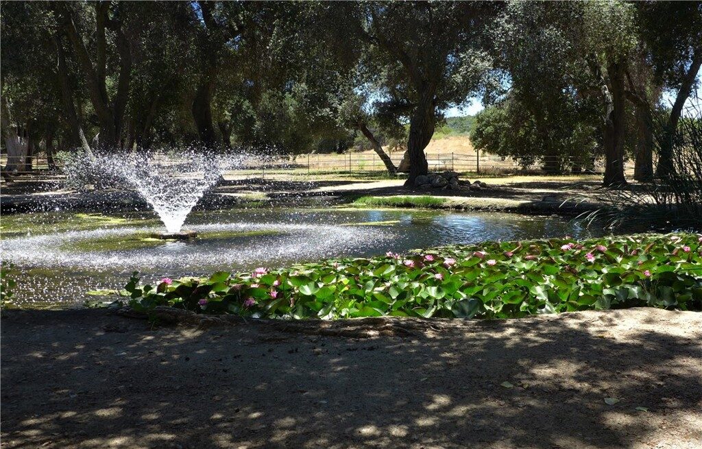 warner springs home for sale chihuahua valley mountain hideaway san diego backcountry portia green realtor compass 15